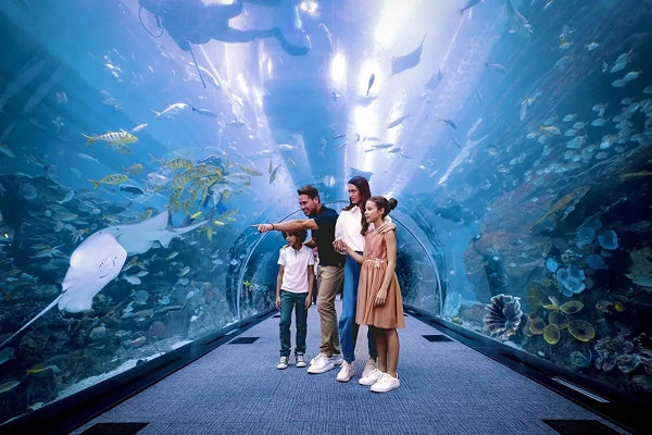 Dubai Aquarium and Underwater Zoo