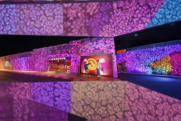 Dubai Budget Explorer with Dubai Mall Attractions