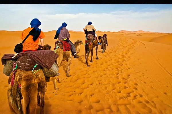Dinner in Desert Ras Al Khaimah