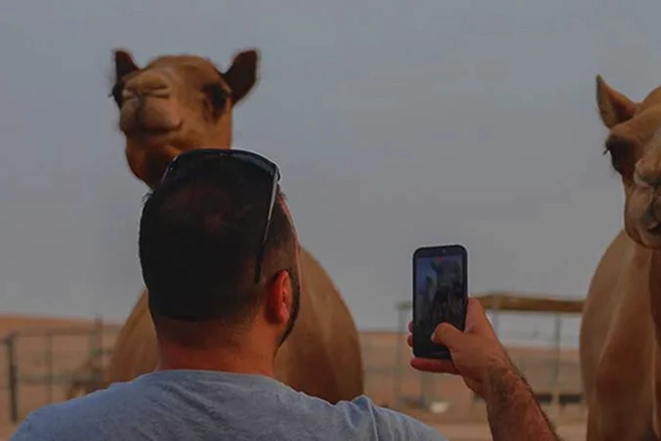 Desert Safari Abu Dhabi